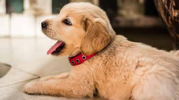 Le fabricant des équipements électroniques de haute technologie