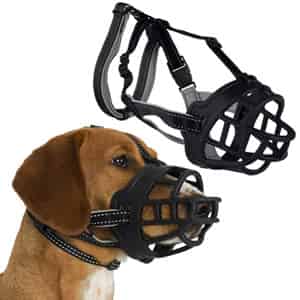 Muselière d'éducation