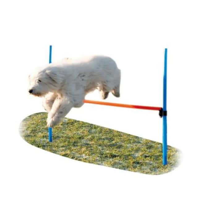 Agility
