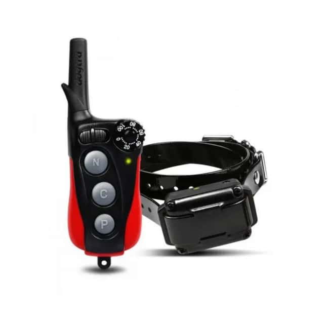 Collier électrique pour chien