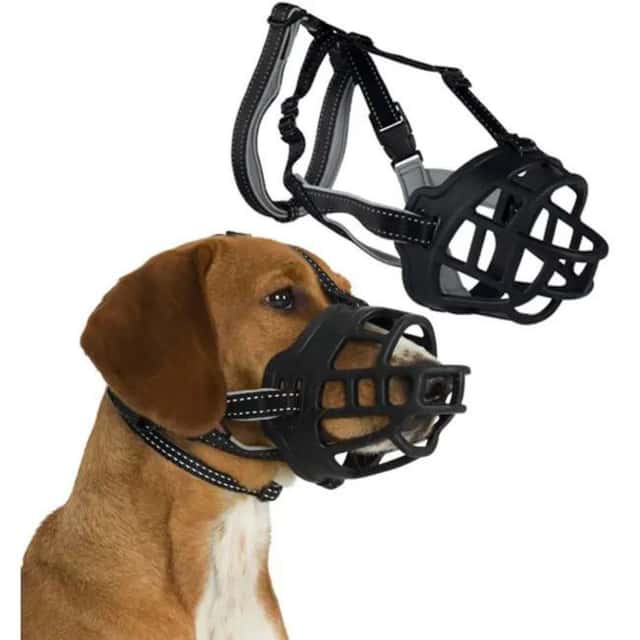 Muselière chien