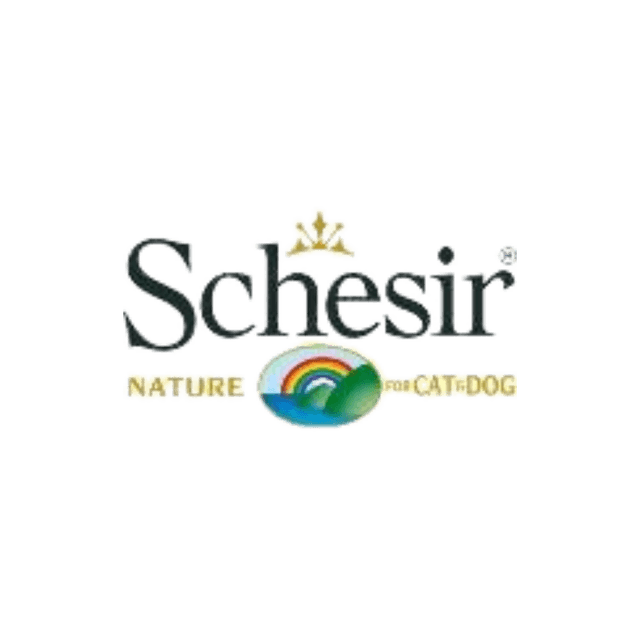 Schesir