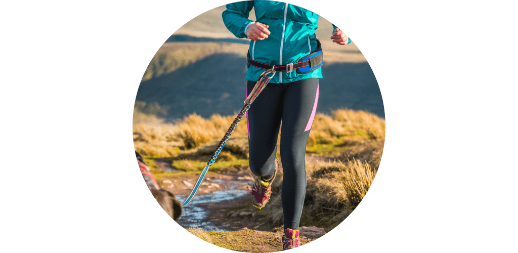 Ceinture pour canirando