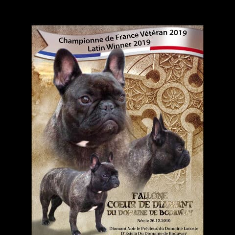 FALLONE COEUR DE DIAMANT DU DOMAINE DE BODAWAY