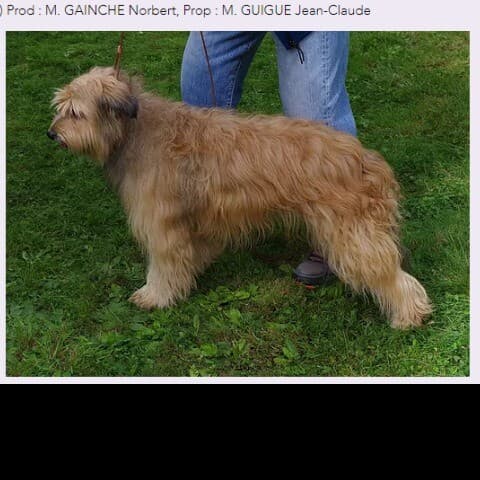 JEEP DU PIC D'ESPADE