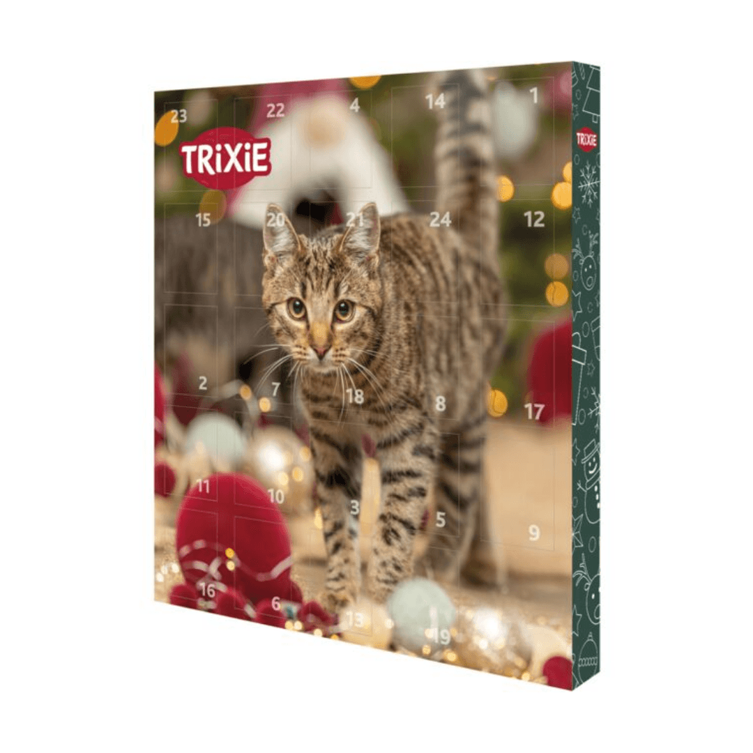 Calendrier de l'Avent pour chat