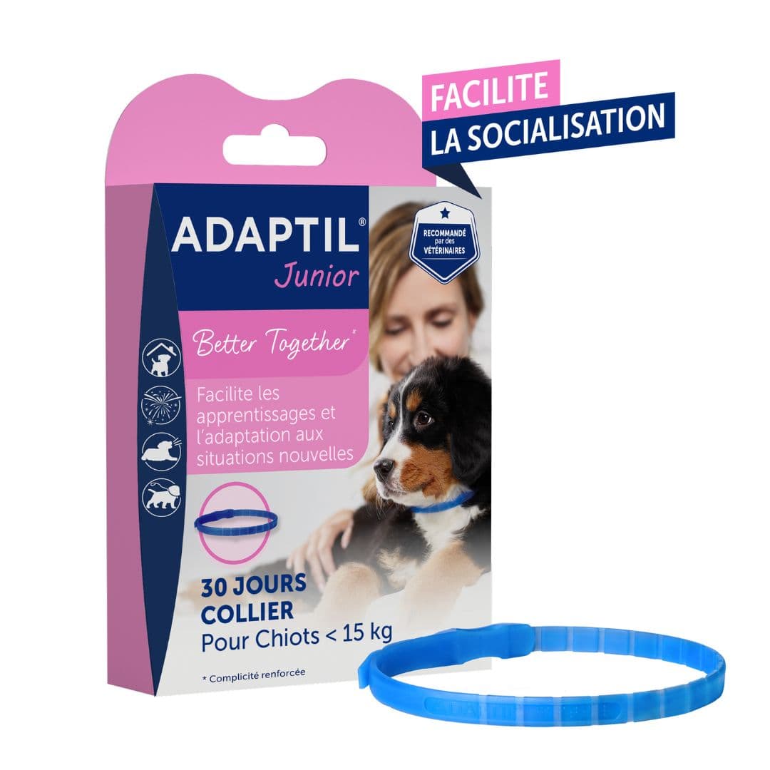 Collier anti-stress Adaptil Junior pour chiot