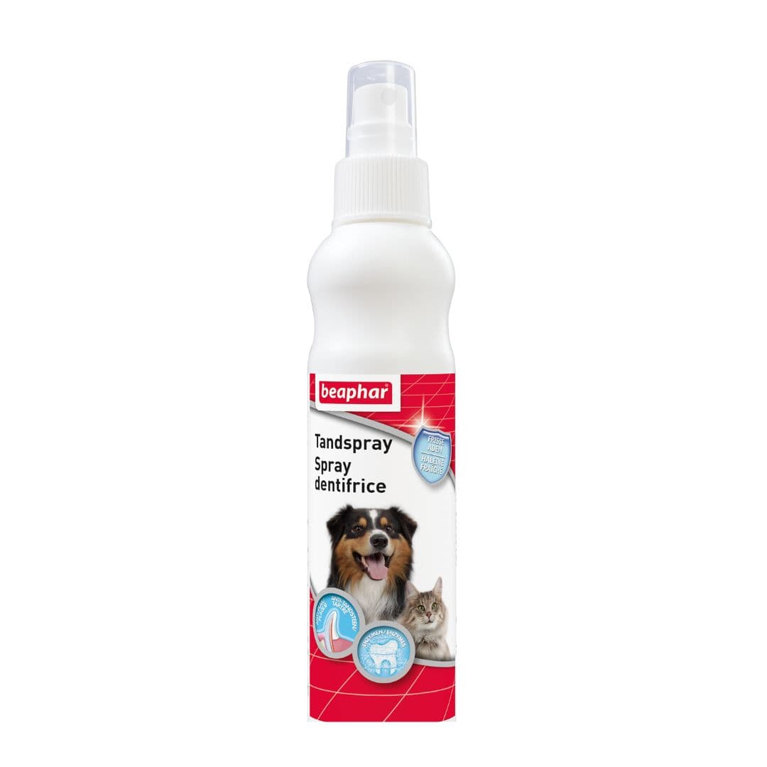 Dentifrice pour chien et chat en spray Buccafresh