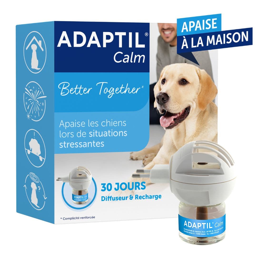 Diffuseur phéromone Adaptil apaisante pour chien