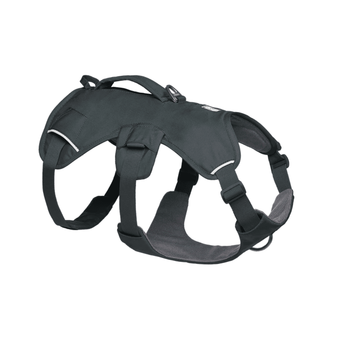 Harnais Web Master pour chien