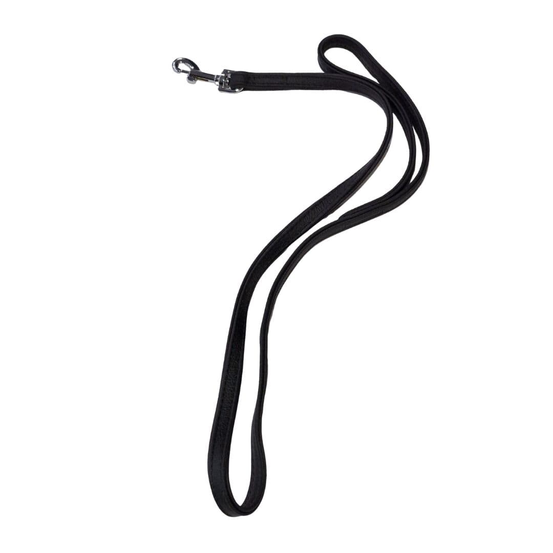 Laisse pour chien en cuir Vintage