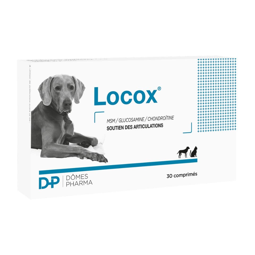 Locox complément chien et chat souffrant d'arthrose et arthrite