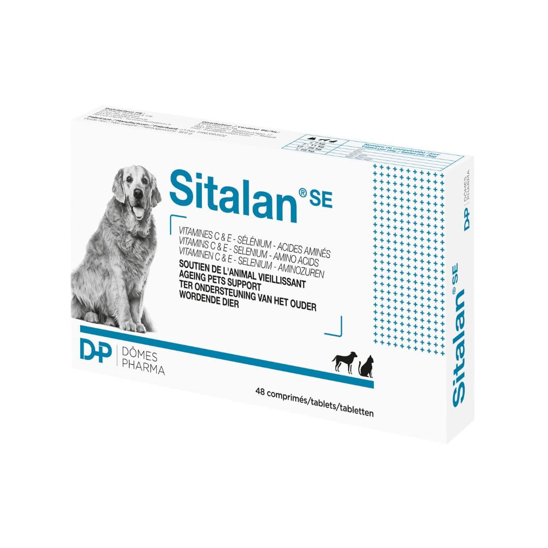Sitalan pour chiens et chats âgés