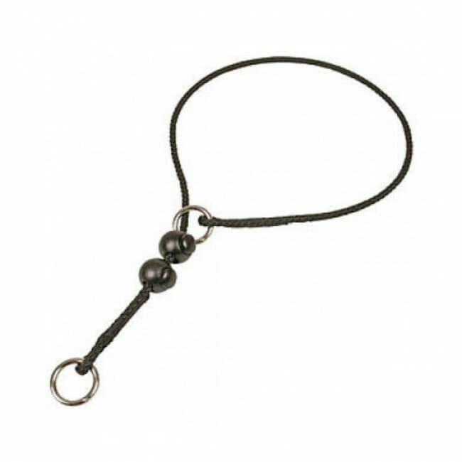 Collier éducatif pour chien 60 cm