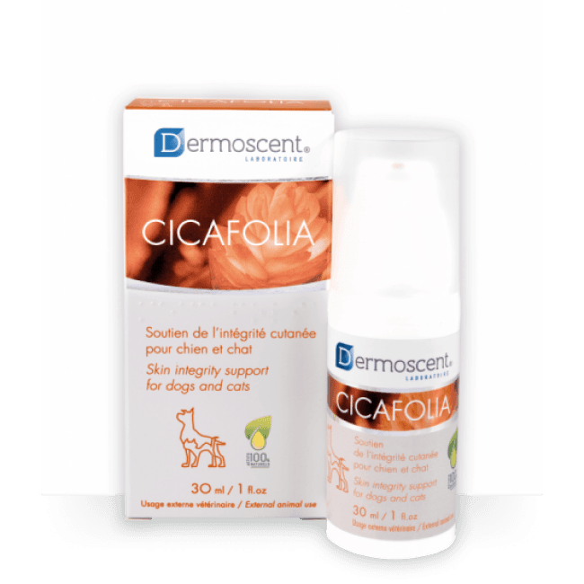 Crème cicatrisante pour chats Dermoscent Cicafolia