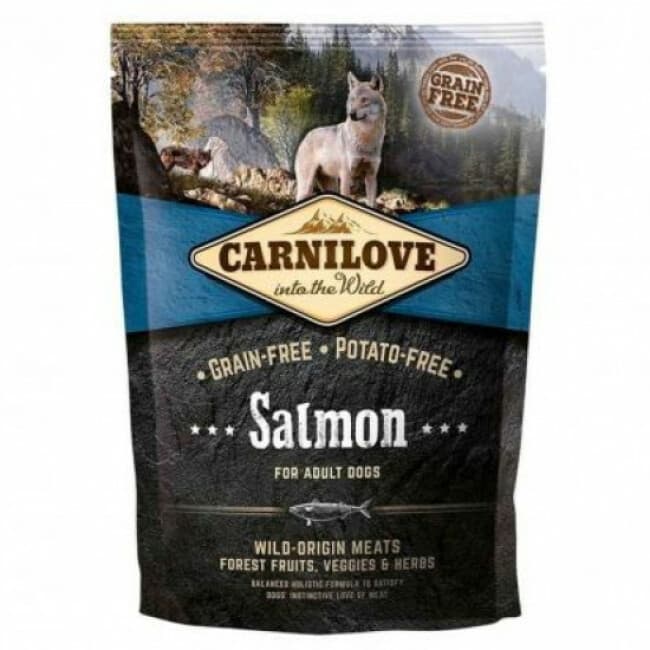 Croquettes Carnilove saumon pour chien adulte