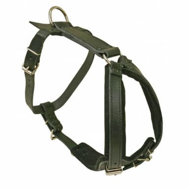 Harnais cuir motivation pour chien
