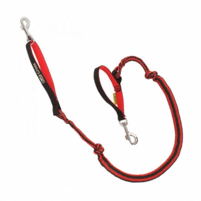 Laisse amortisseur Canicross Original™