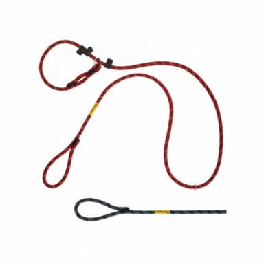 Cooldog : laisse pour chien qui tire