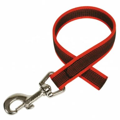 longe antidérapante pour chien