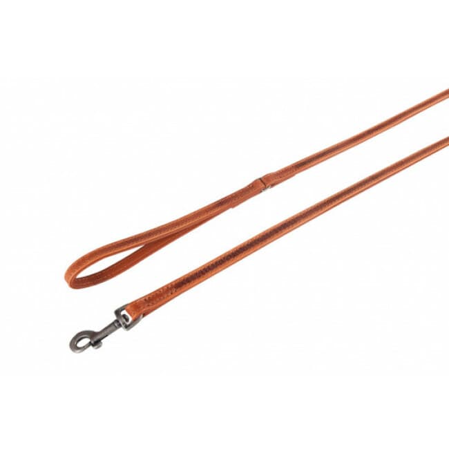 Laisse Nomad Acajou pour chien Flamingo Brun