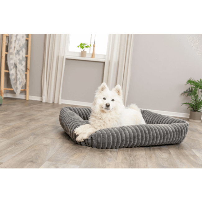 Lit Lonni pour chien