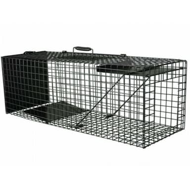 Piège de capture chat errant