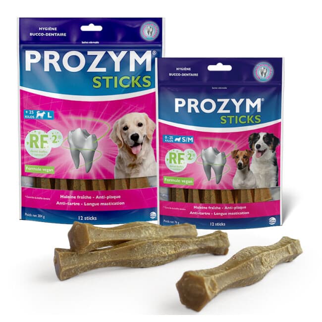 Prozym RF2 Stick dentaire pour chien
