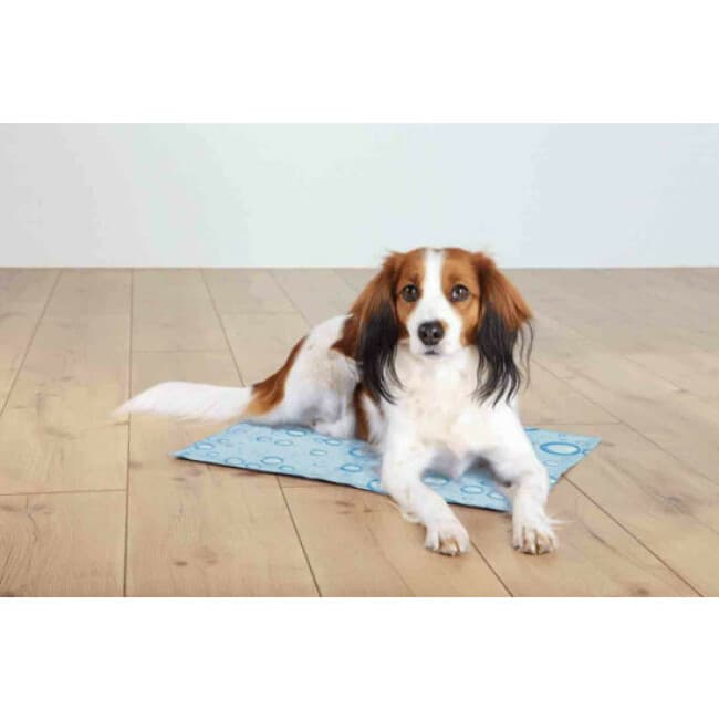 Tapis rafraîchissant bleu clair pour chien