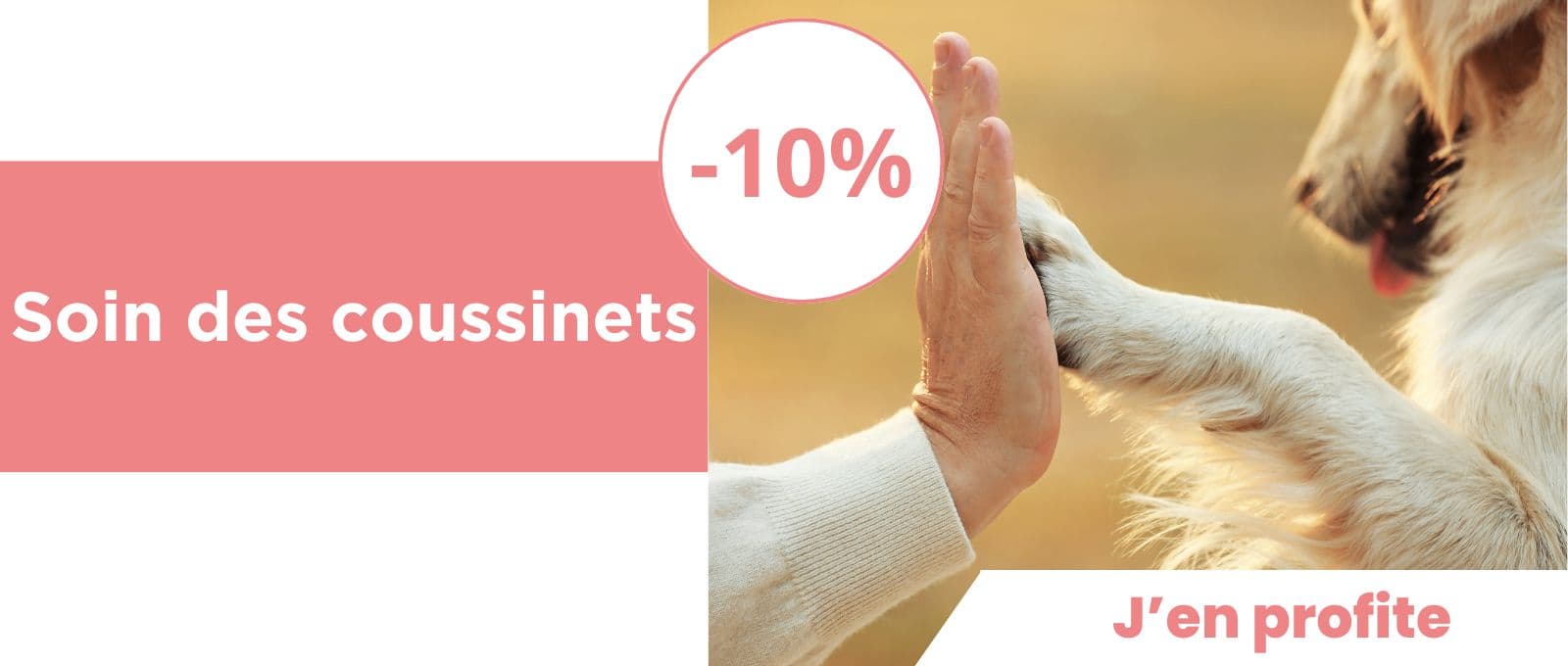 Soin des coussinets : -10% de réduction !