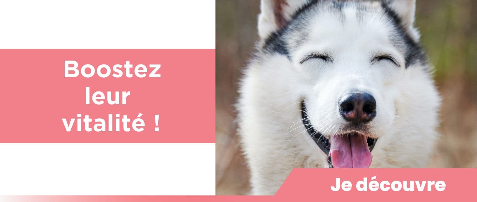 Boostez leur vitalité !